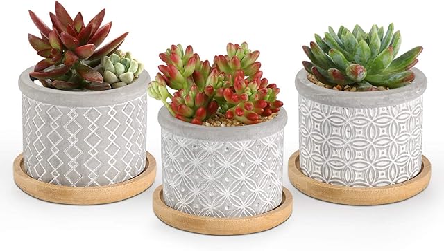 T4U 6CM Cement Succulent Pots with Bamboo Tray 3-Set, Concrete Cactus Pots Small Cacti Planter Grey Gardening Plant Pot Container for Home and Office Decoration Birthday Wedding
