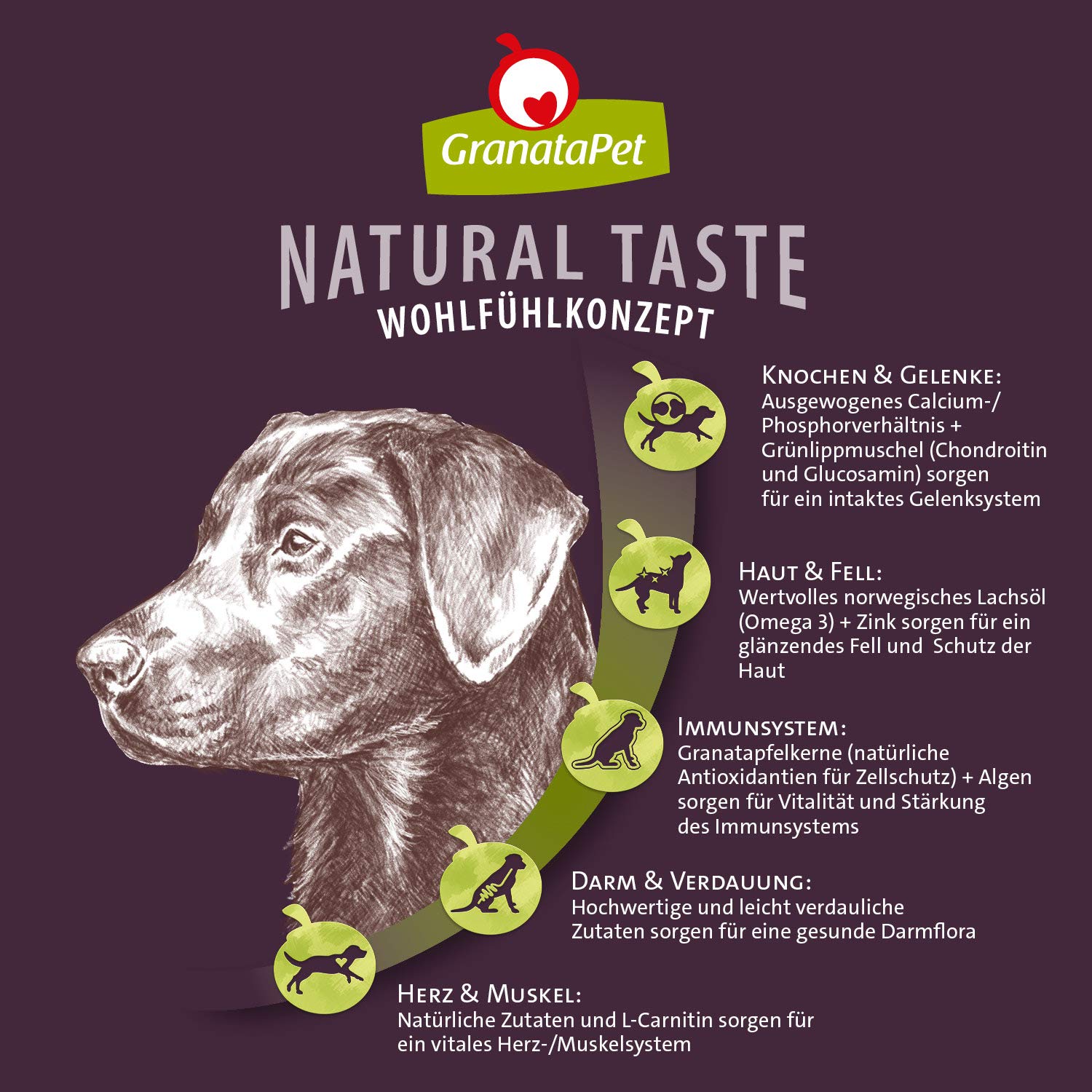 GranataPet Natural Taste Łosoś & Indyk, 12kg | Karma pełnoporcjowa, Bez zbóż, Bez dodatku cukru, Olej z łososia i małża nowozelandzka, Made in Austria