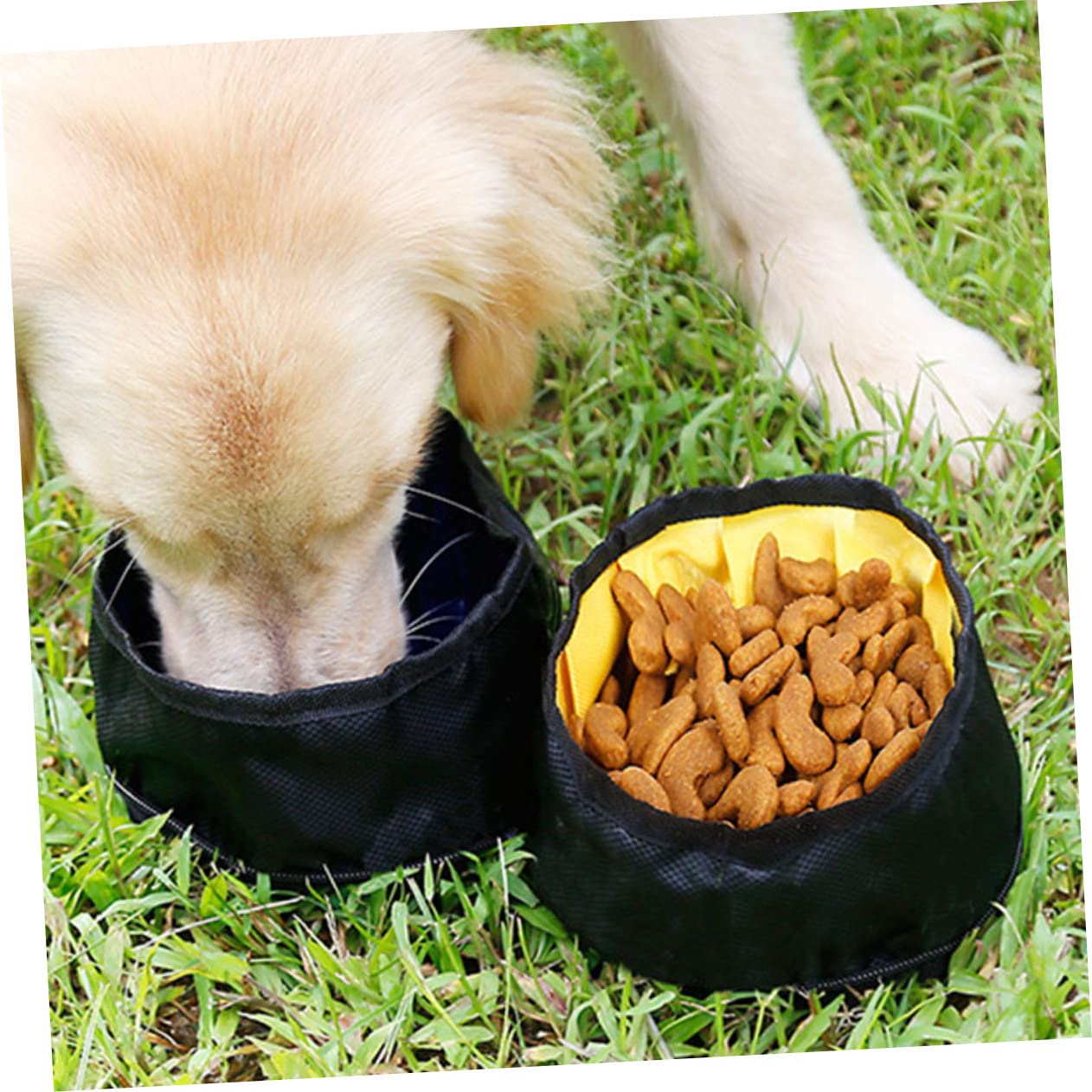 Beavorty 3pièces Gamelles Pliables pour Chiens Et De Deux Portables Accessoire De Voyage pour Animaux Pratique pour Extérieur Sorties