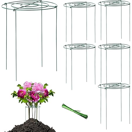 EAONE 6 Pack Peony Case and Support, Grow Through Plant Supports for Outdoor Plants, Peony Flower Support Stakes Metal Ring Hoop with 24 Legs and 100Pcs Ties (12 X 17 Inch)