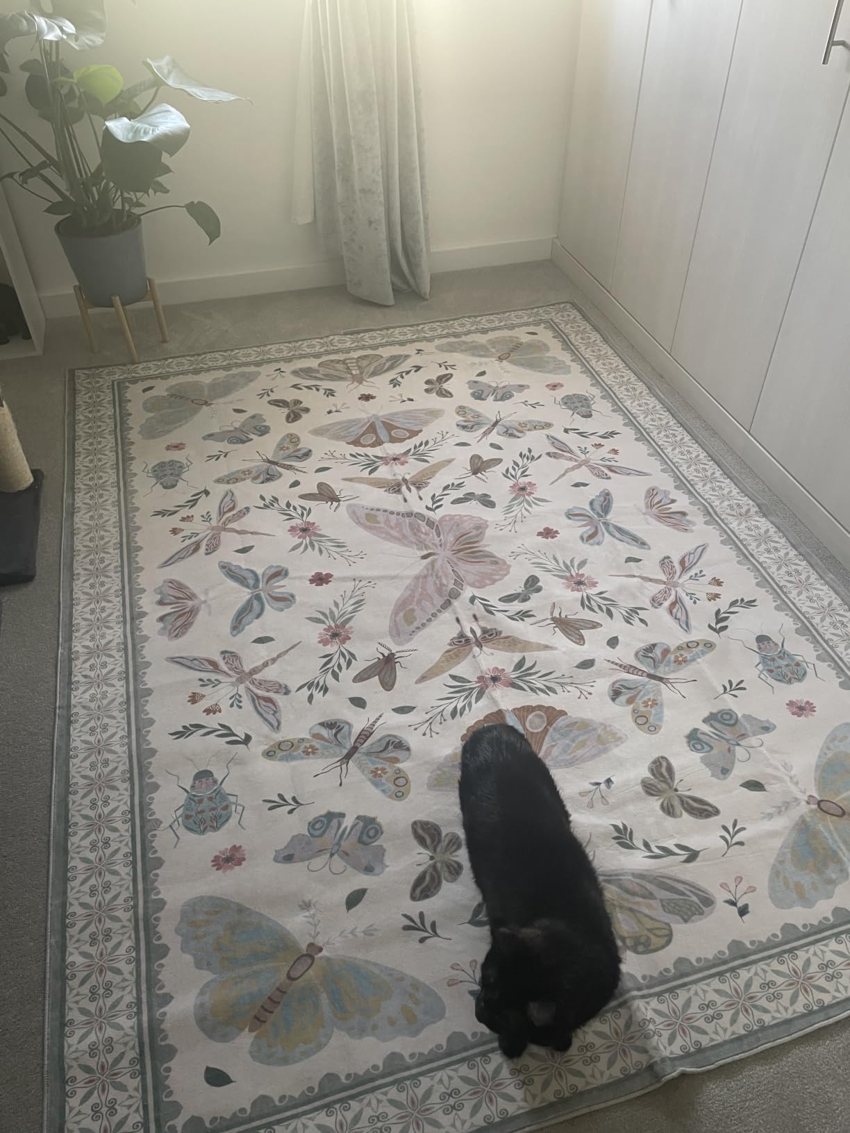 Customer photo
