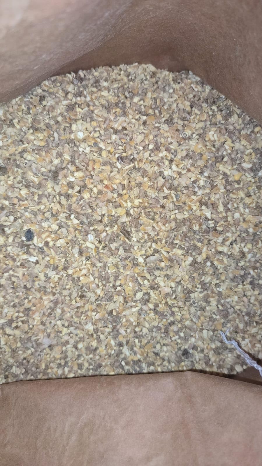 BECCO TUTTO, NO OGM, Mangime più Granaglie per Galline, Polli, Tacchini, Oche e volatili da cortile. 25 Kg