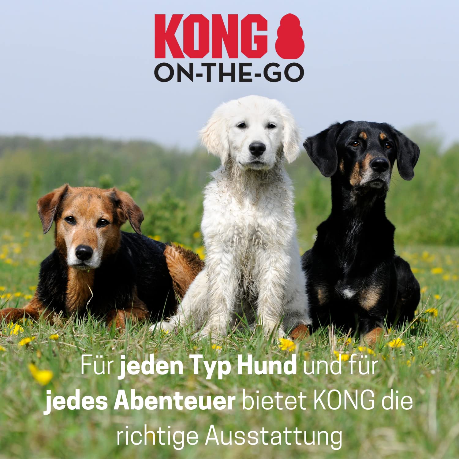 KONG Lot de 4 chaussures de sport pour très grands chiens - Taille XL - Protection des pattes de qualité supérieure avec rembourrage - Chaussures confortables pour chiens - Utilisation facile et sûre