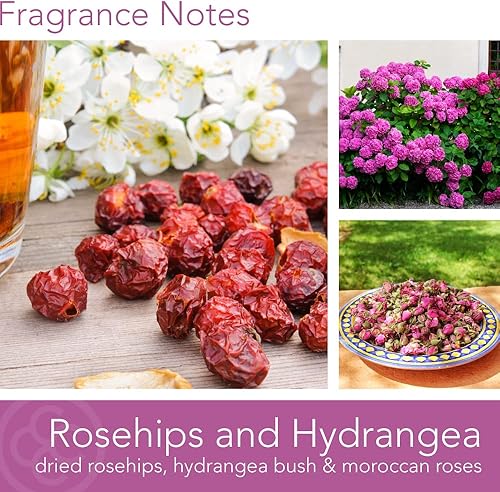 Miniatura 2 de Colonial Candle M. Baker Collection - Vela perfumada en tarro de rosa mosqueta y hortensia, 2 mechas, gris, 14 onzas, hasta 60 horas de combustión