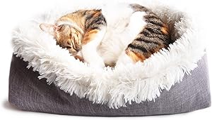 The 10 Best Cat Beds 9 71mK+eYMCmL. AC SL300