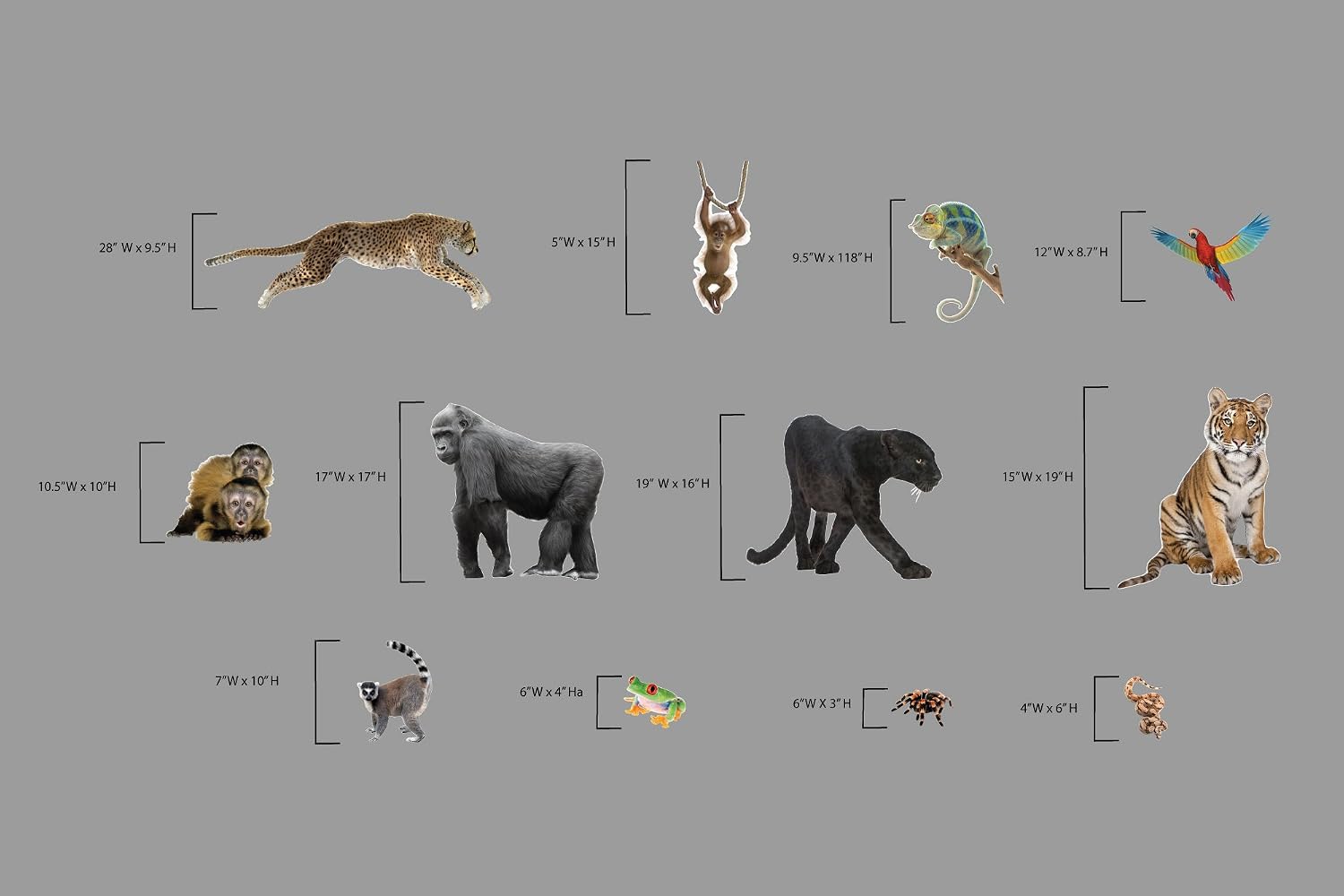 Jungle Animal Wall Set | Tiger, Gorilla, Panther, Birds and Other Jungle Animals | Removes from Wall Leaving no Damage | Fun Stickers for Any Nursery, Bedroom, Playroom or Classroom