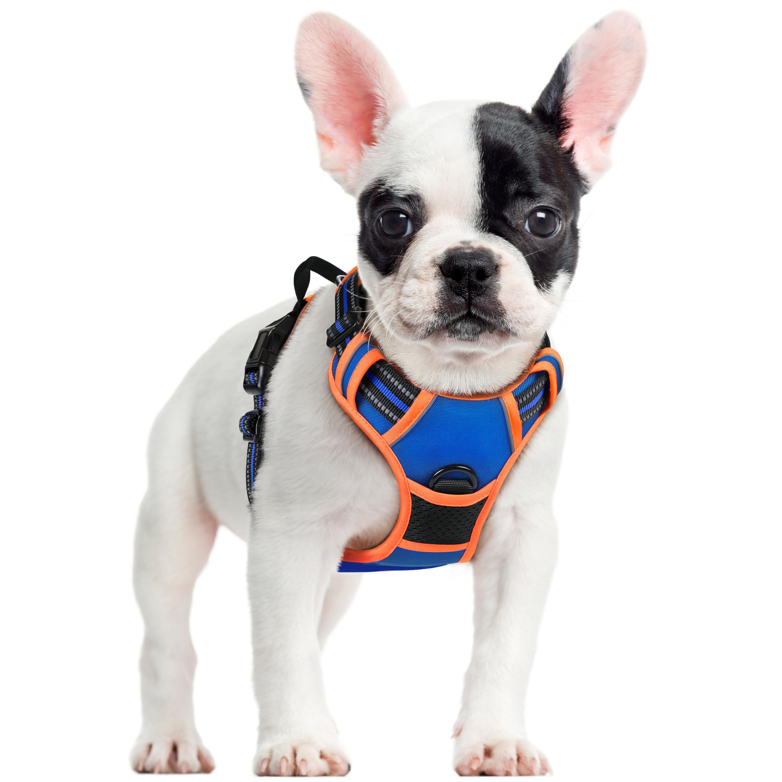 rabbitgoo Dog Harness Small Dog No Pull Pet Harness with 2 Leash Clips, Adjustable Soft Padded Pet Vest