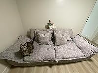 Review Image by Fei Song