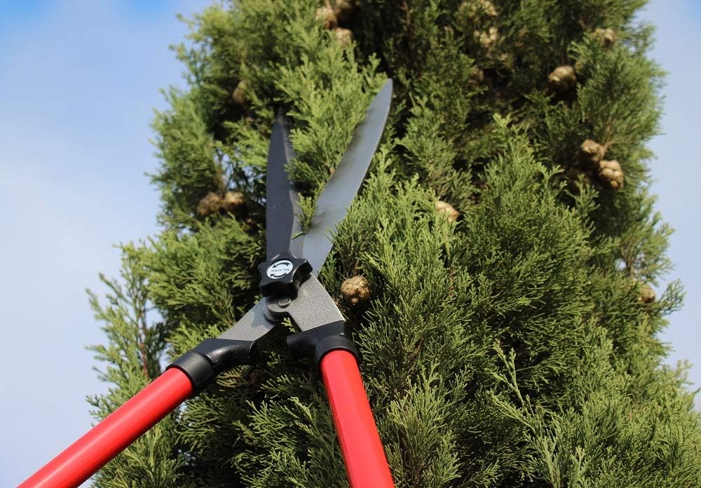 TABOR TOOLS B212A Telescopic Hedge Shears with Wavy Blade and Extendable Steel Handles. Extendable Manual Hedge Clippers for Trimming Borders, Boxwood, and Tall Bushes. : Patio, Lawn & Garden