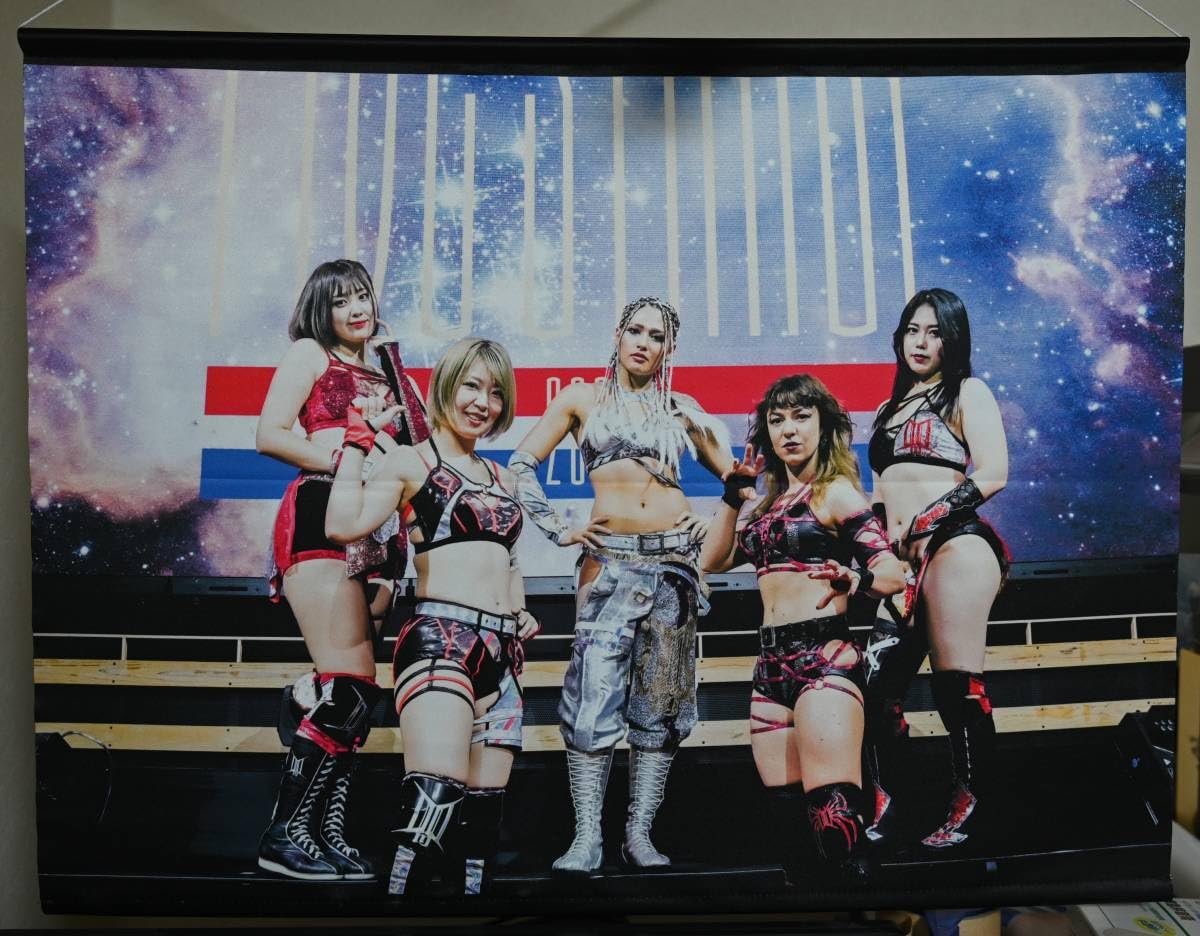Amazon.co.jp: 同様 スターダム DDM ミニタペストリー ひめか
