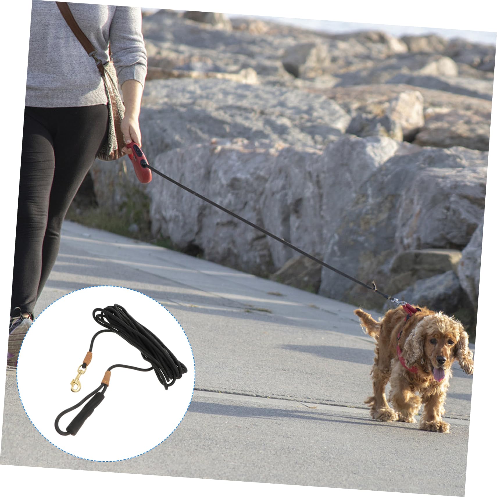 TOYANDONA Guinzaglio Per Cani Da Metri Corda Da Trazione Per Passeggiate Guinzaglio Resistente Per Animali Domestici Corda Da Addestramento Per Camminare