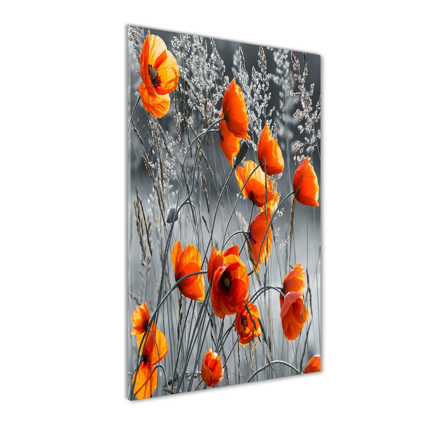 Déco mural derrière le plastique fleurs coquelicots tableau verre acrylique 70x140