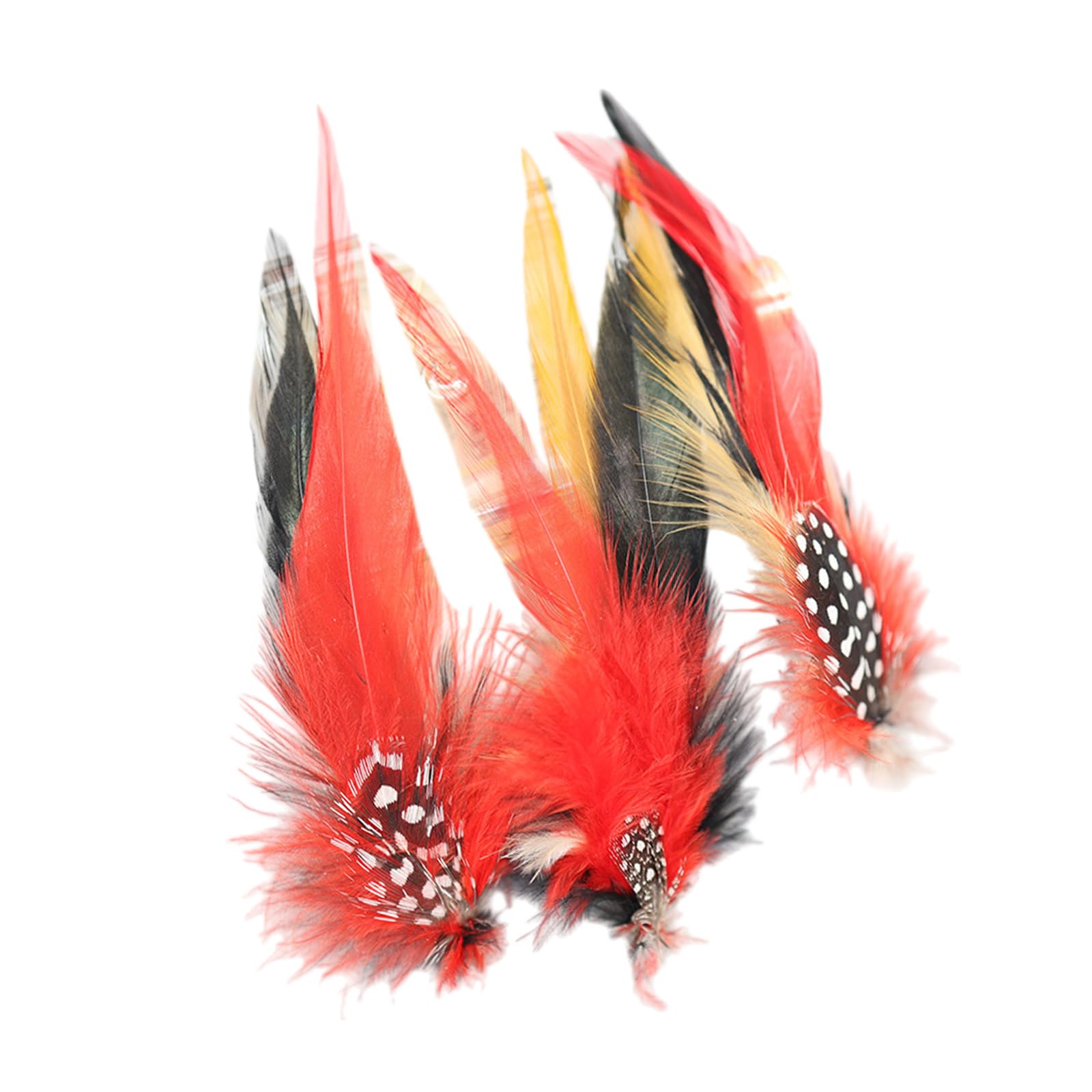 HDOYTXXM 10Pieces Natural Colorful Plumage for Bouquets and Costume Decorations Craft Supplies