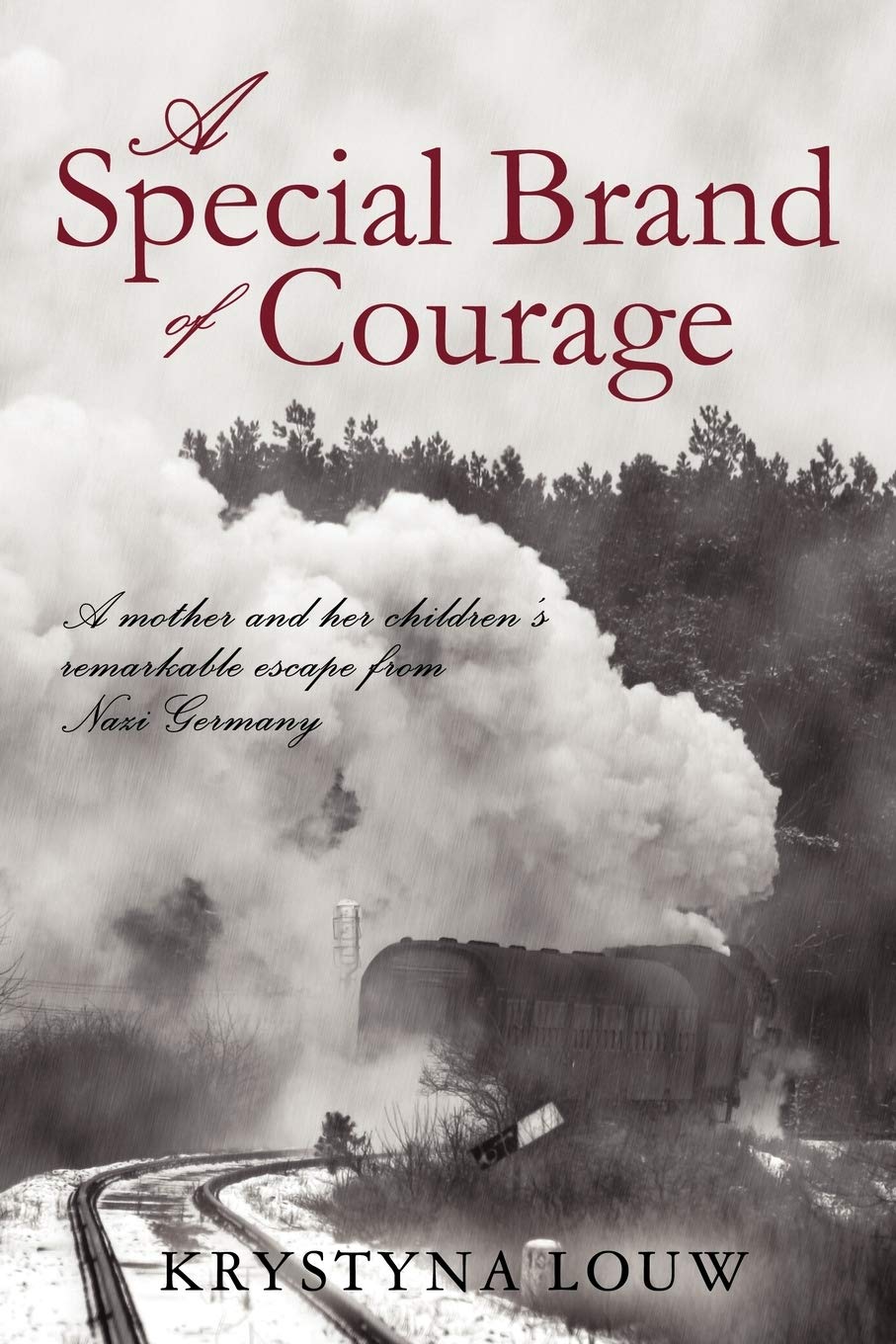 A Special Brand of Courage: A Mother and her Children's Remarkable Escape from Nazi Germany