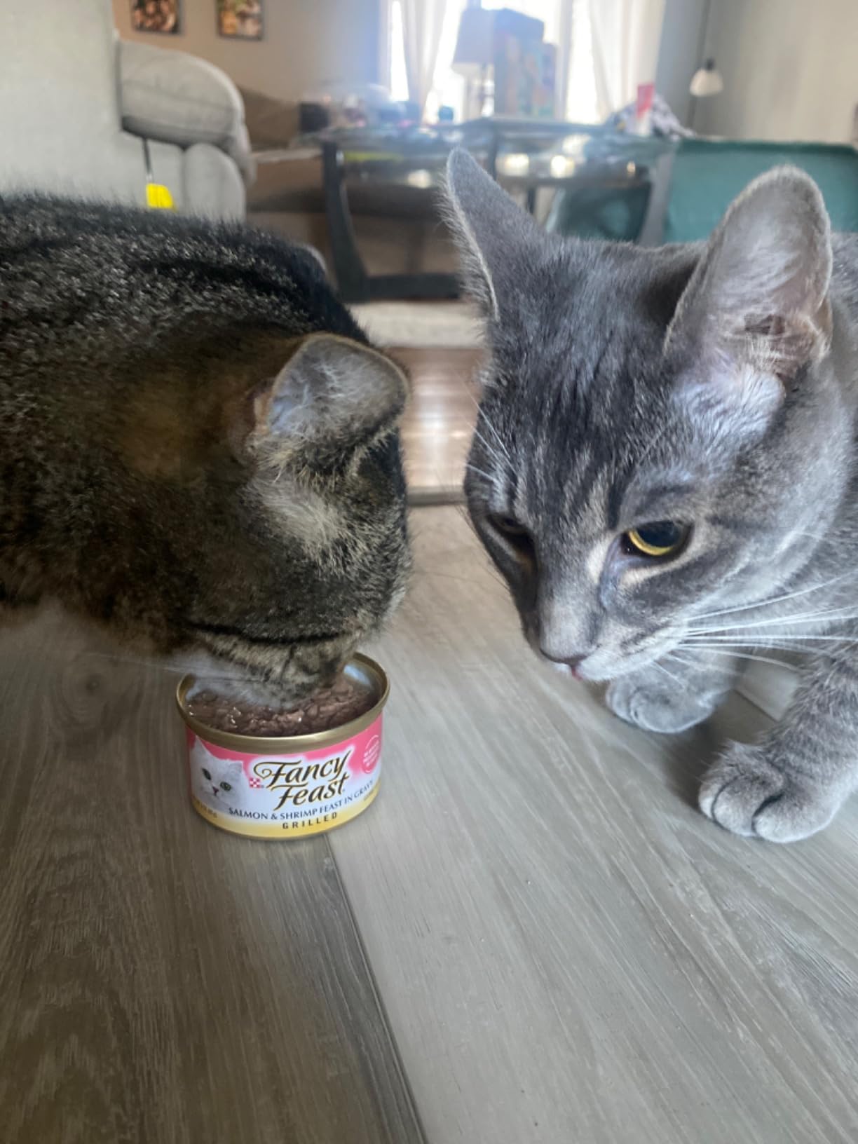 Purina Fancy Feast Grilled Wet Cat Food Seafood Collection in Wet Cat Food Variety Pack - (Pack of 24) 3 oz. Cans photo review