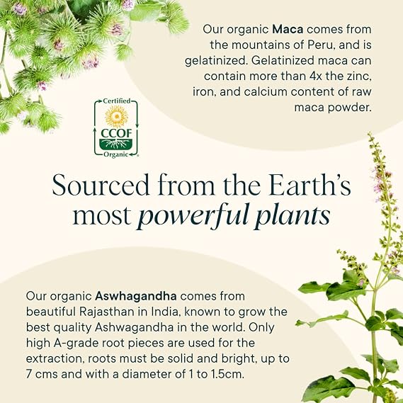 Ora Organic Hormone Balance & Greens Powder Bundle: Support Skin, Mood, Energy, Cordyceps & Acerola Cherry + 20+ Superfood Greens Blend - Citrus Flavor, 30 Servings