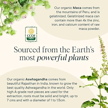 Ora Organic Hormone Balance & Greens Powder Bundle: Support Skin, Mood, Energy, Cordyceps & Acerola Cherry + 20+ Superfood Greens Blend - Citrus Flavor, 30 Servings