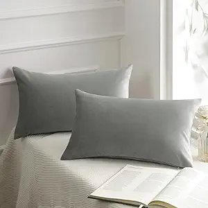 Phantoscope Pack of 2 Velvet Decorative Throw Decorative Pillow Cover Soft Solid Square Cushion Case for Couch Mist Grey 12 x 20 inches 30 x 50 cm
