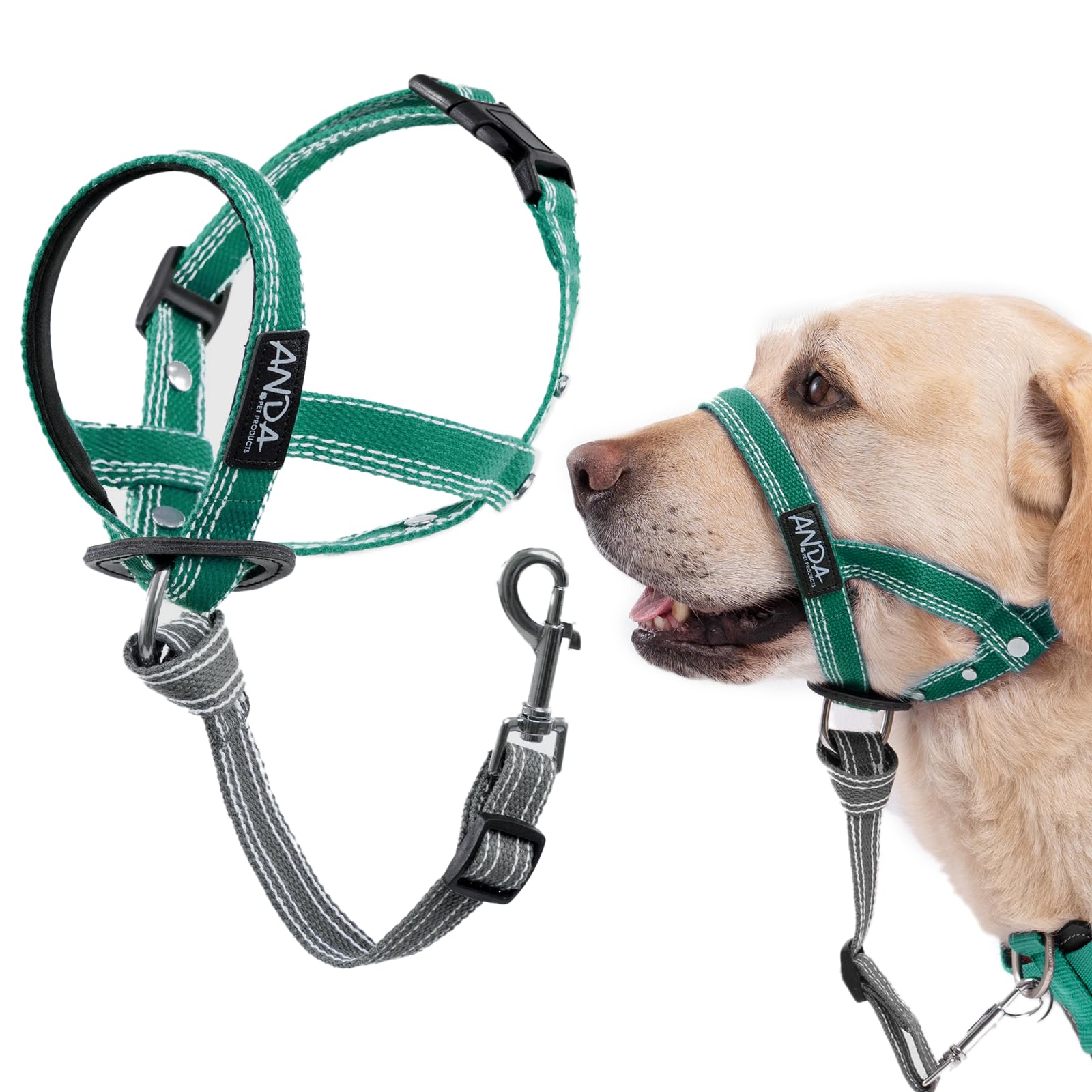 ANDA Ultra-Light No-Pull Gentle Leader for Dogs Headcollar: Adjustable, Breathable Comfort, Prevents Explosive Rushes, Ideal for Daily Use (Green,