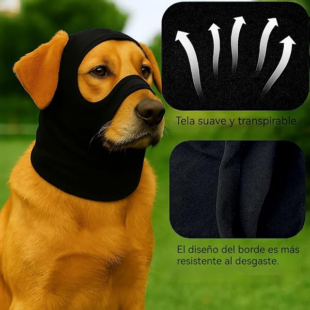 Foto 3 de 6 de Colenumone Sombrero para Perro: Haz Que tu Perro se vea Salvaje; Casco elástico y Resistente al Viento