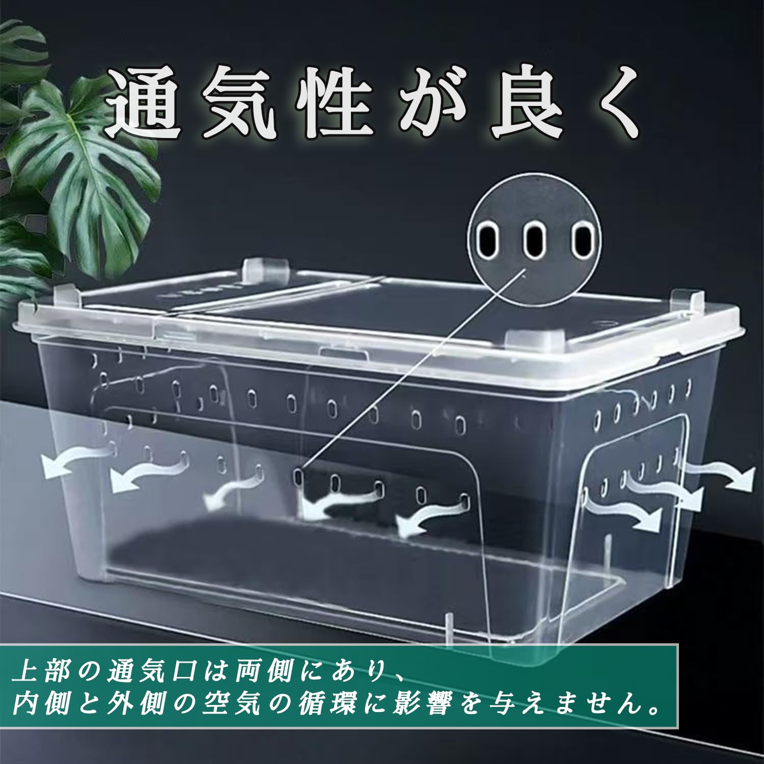 Amazon | レプタイルボックス 大型 ワイド 爬虫類 ケージ 換気が良い