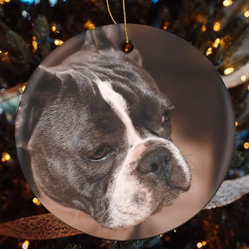 Miniatura 5 de Adornos de Navidad 2023 para árbol, adorno de cerámica de perro toro francés, regalo para amantes de los animales, decoraciones de bolas de Navidad,