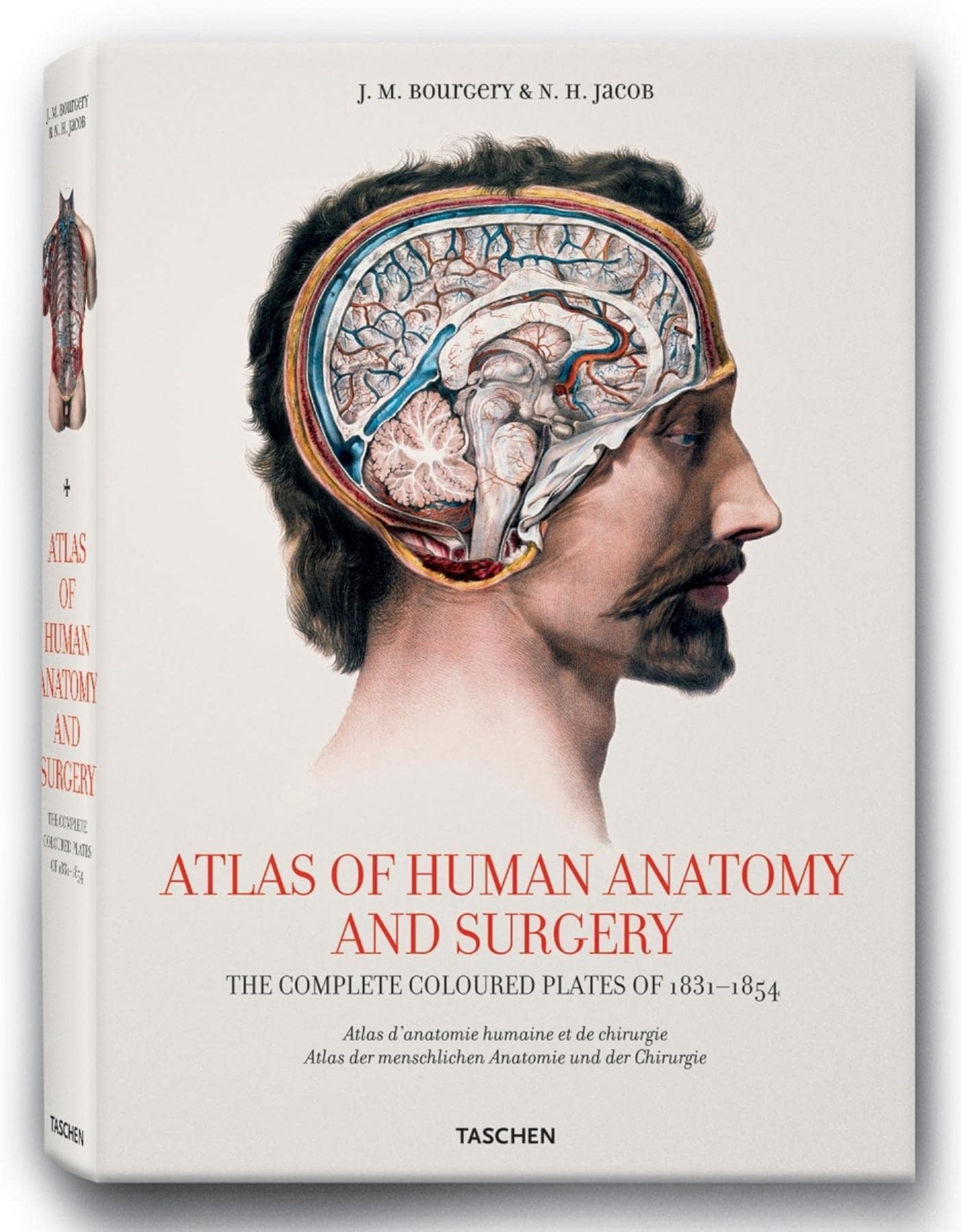 Bourgery, Atlas of Anatomy: Anatomie Atlas