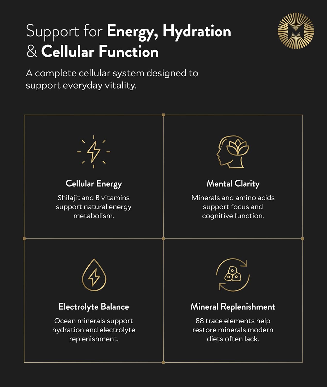 Manna Vitality 2.0 | Shilajit, Ocean Plasma & B Complex | 88 Trace Minerals & Amino Acids | Energy, Immunity, Brain & Vitality | 30 Count