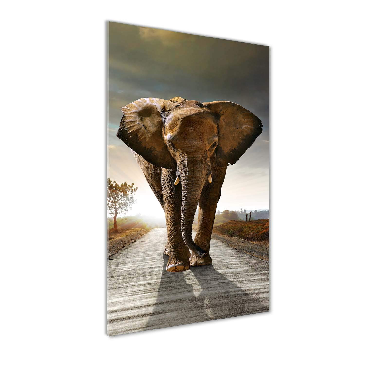 Déco Mural Éléphant - Image sur Verre Acrylique 60x120 cm Tulup Brun