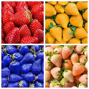 Amazon.com : 400+ Mix Strawberry Seeds for Planting