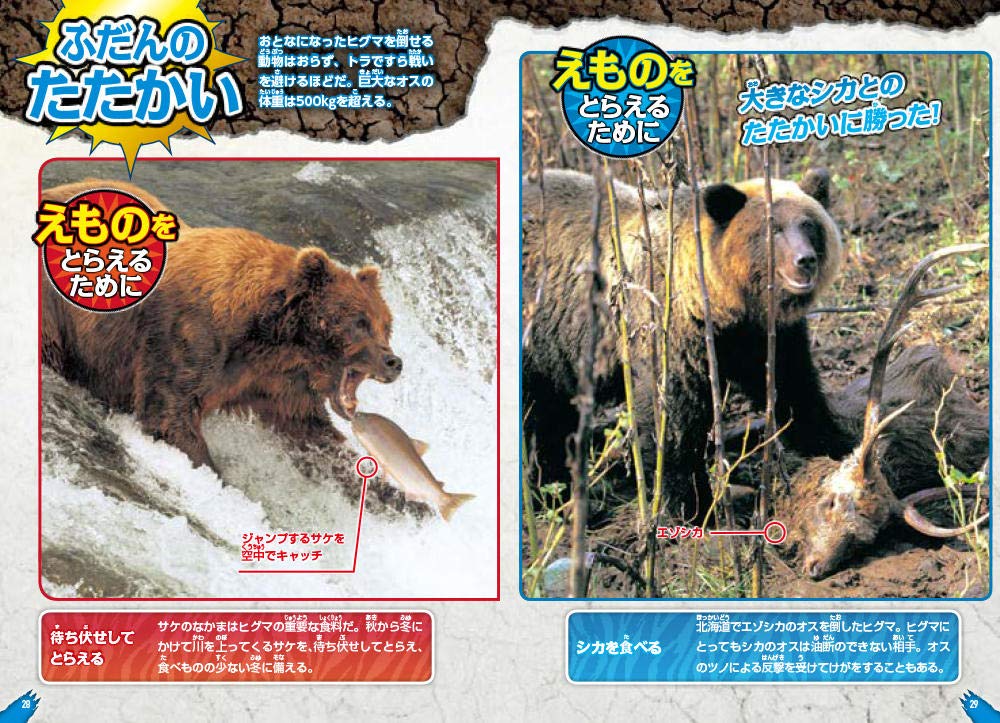 戦う動物大百科 最強獣王決定戦 アマナ ネイチャー サイエンス 本 通販 Amazon