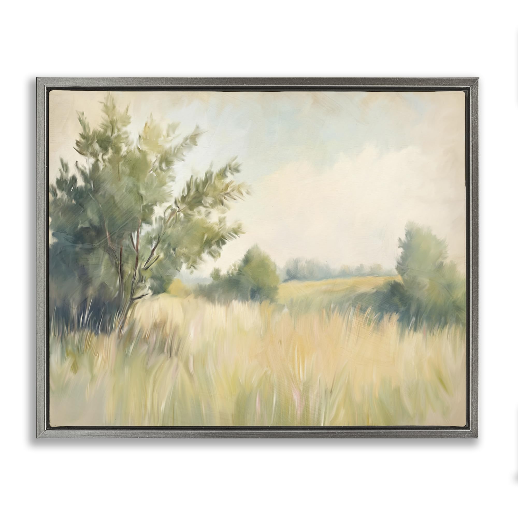 Stupell Industries Luster Gray (Matte) Summer Green Meadow Landscape, 16 X 20 Inch Canvas In Floater Frame
