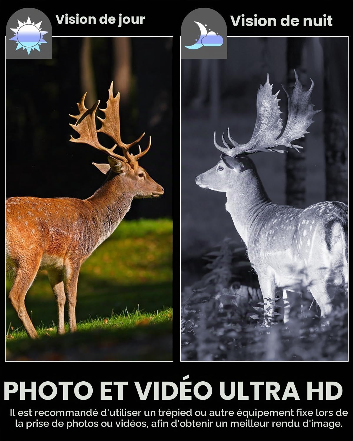 Jumelles Vision Nocturne Numériques 1080P HD - Écran 3" LCD, Zoom 6X, Objectif 42mm | Portée 411m, Carte 32GB – Idéal Camping