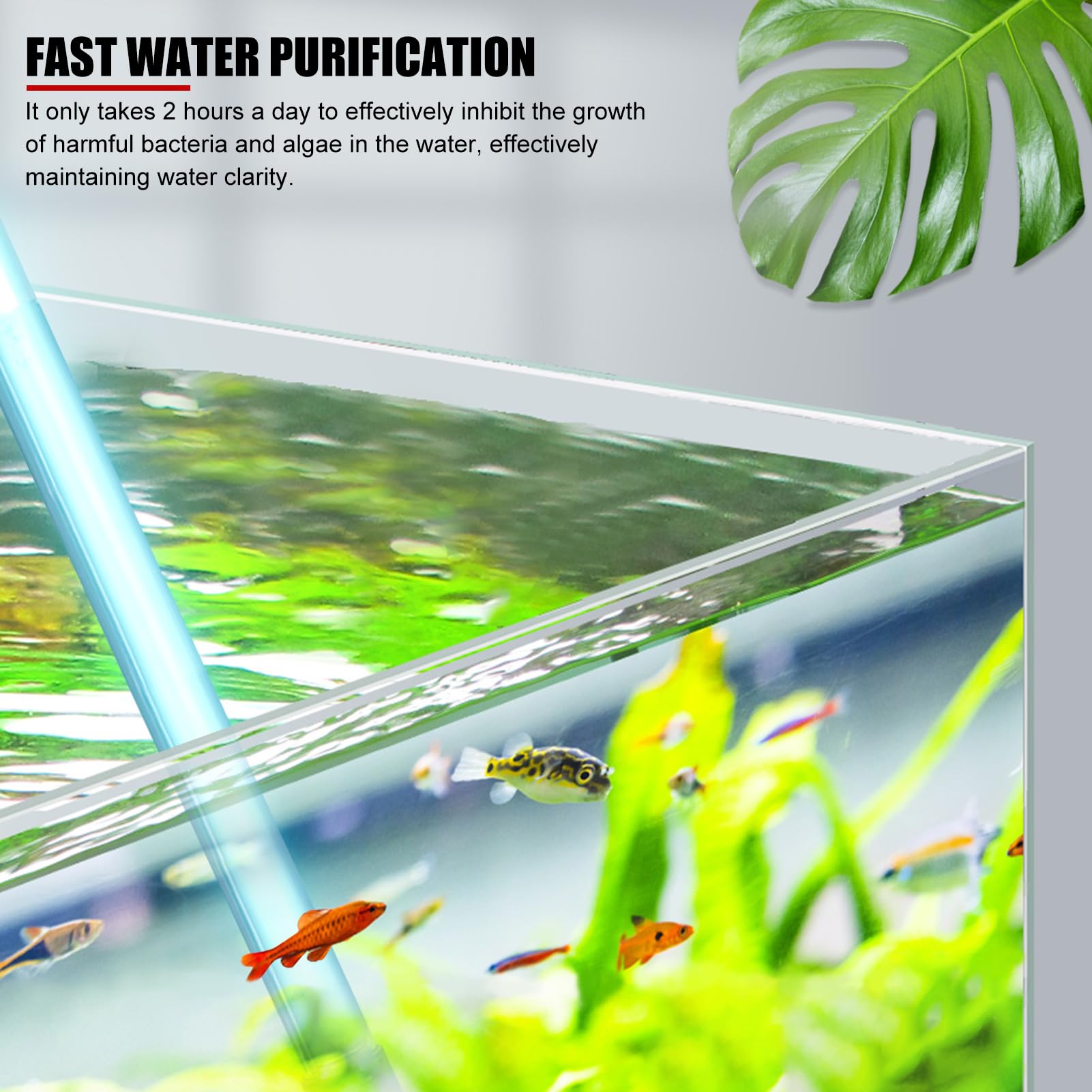 Lampada Che Uccide i batteri delle alghe a Luce UV, Luce disinfettante UVC Portatile, Acquario sommergibile (Spina Europea)(11W)