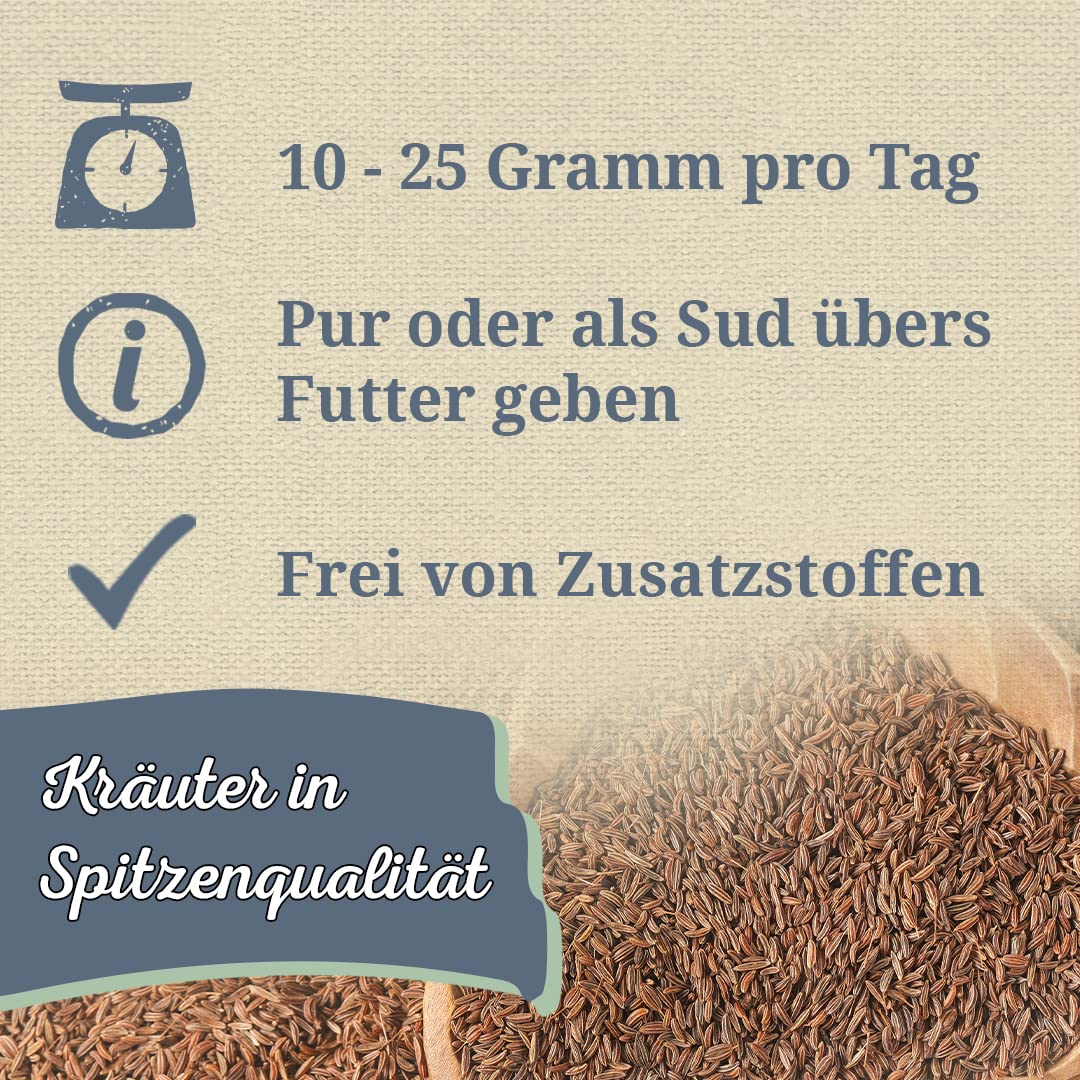 Krauterie Kümmel für Pferde, ganz (2000 g) | Artgerechtes Einzelfuttermittel für Pferde in Spitzenqualität - frei von Zusatzstoffen, getreidefrei, zuckerfrei, melassefrei
