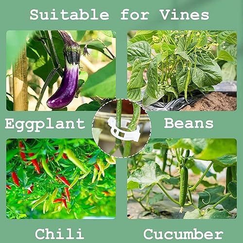 Miniatura 5 de Clips de soporte para plantas, clips de jardín reutilizables, clips de plástico para tomate, vid y uva para cuerdas, clips para plantas trepadoras,