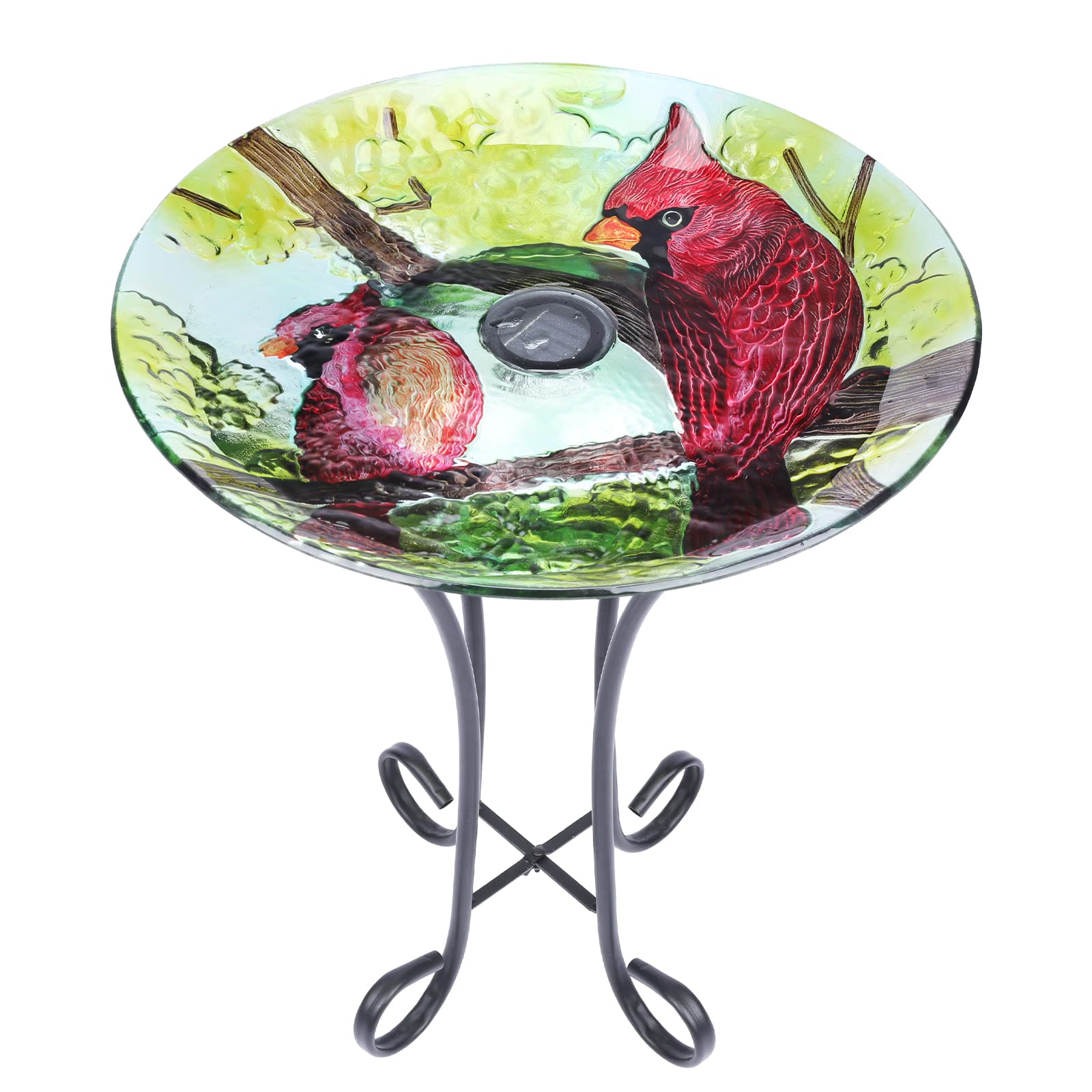 10 Best Cardinal Bird Baths for Your Garden Hummingbirds Plus