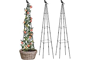 2 Pack Outside Trellis for Climbing Plants