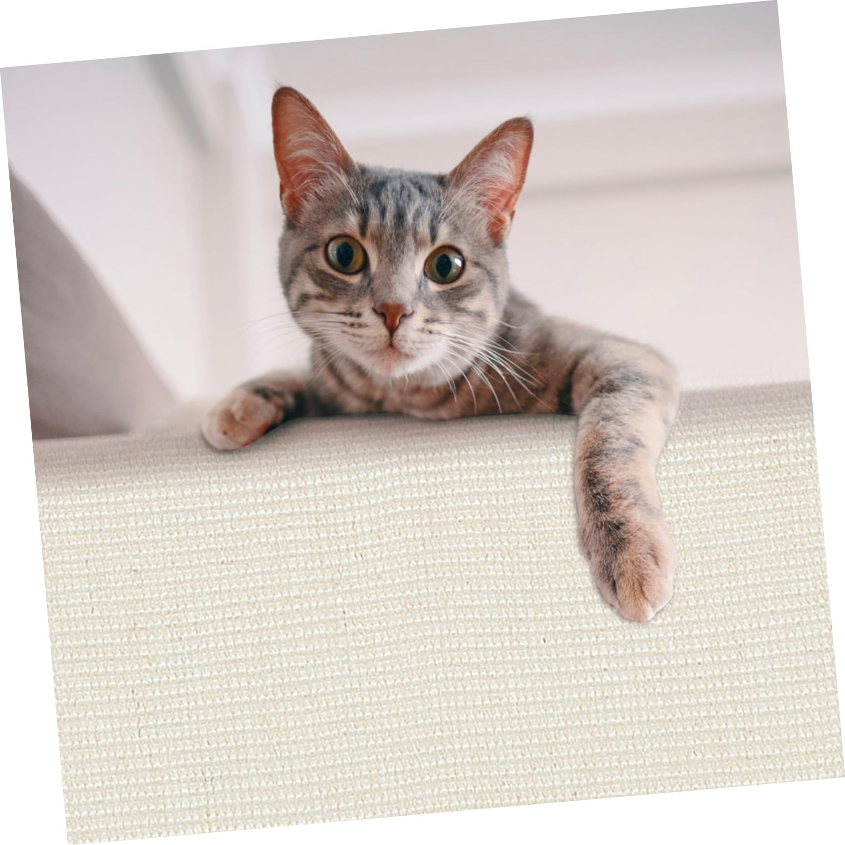 Protector contra Arañazos para Gatos Garra de Sisal, Colchón de Algodón y Lino, Adecuado para Sofá en Habitación U Oficina, Antiarañazos y Protector