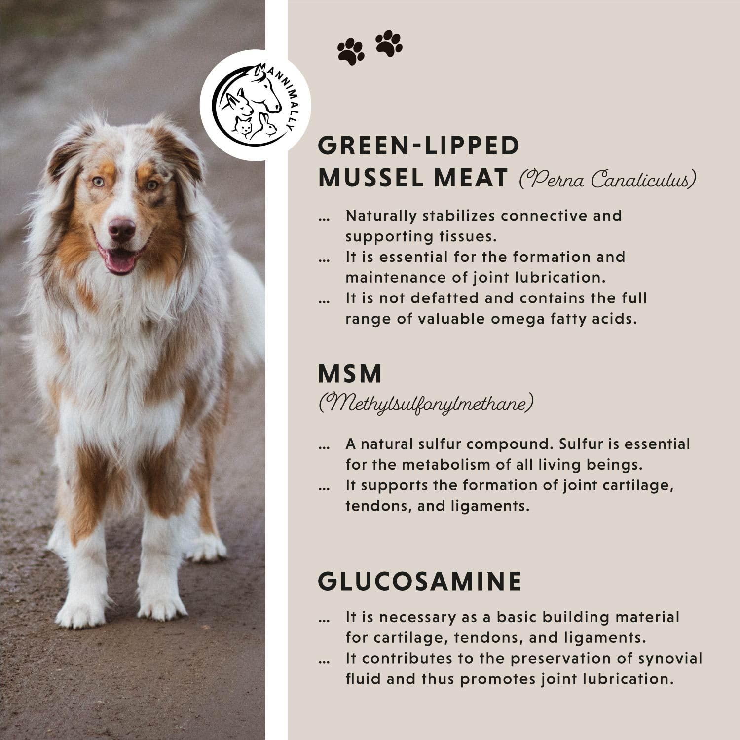 Joint supplements for dogs with MSM green lipped mussel, chondroitin and glucosamine, 120 tablets hip & joint care for dogs - Image 3