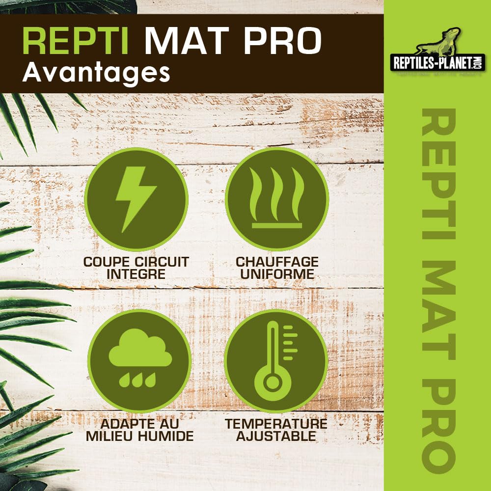 Reptiles Planet Repti PRO - Tappeto riscaldante per Rettili, 10 x 18 cm, 4 W