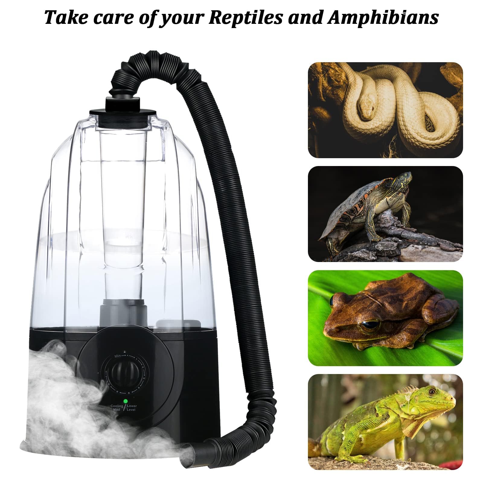 Coospider Reptilien Nebler Luftbefeuchter 3L, 380ml/h Hochleistung, Terrarium Vernebler mit 2 Verlängerungsschläuchen, Einstellbarer Nebel für Reptilien, Amphibien, Schlangen, Echsen
