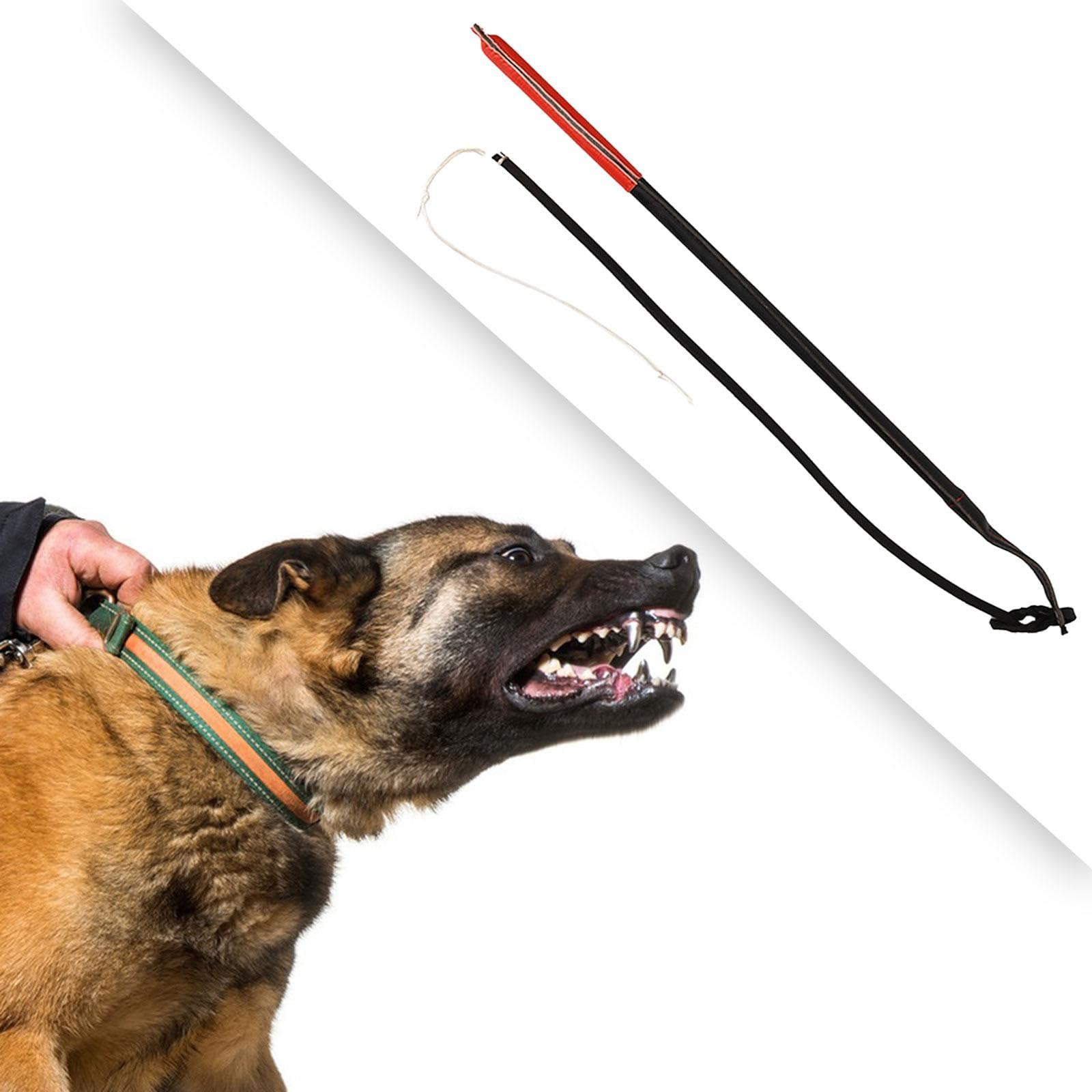 Mordedor Interactivo para Perros Almohada de de Yute Juguete de Cuerda Juguete de Masticar con Asas Ergonómicas Reforzado, Poste de coqueteo