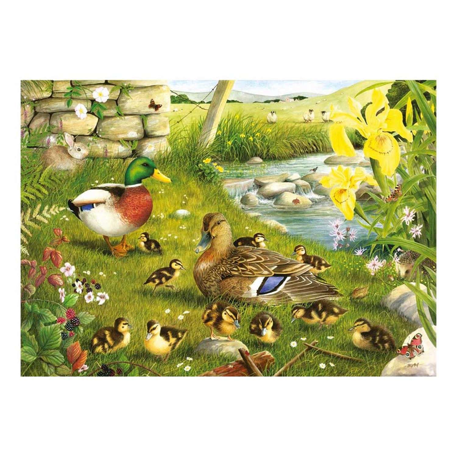Big 500 Piece Jigsaw Puzzle Ducks To Water. At The Pond