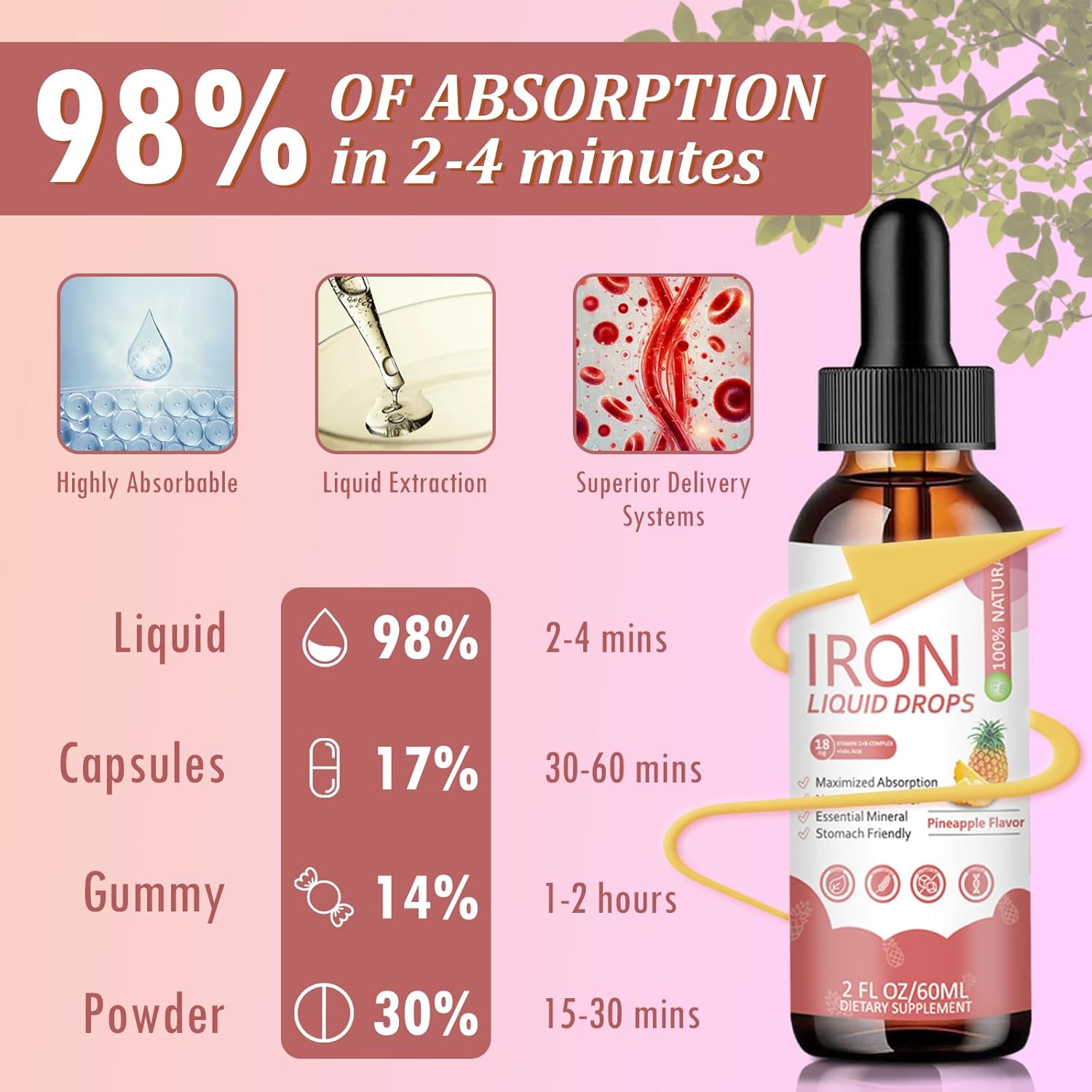 Iron Supplement Liquid Drops - High Absorption Formula with Vitamins C, B12, B6, Supports Energy, Gentle & Vegan, Suitable for Women, Men & Children, Pineapple Flavor, 60 ml - Image 5