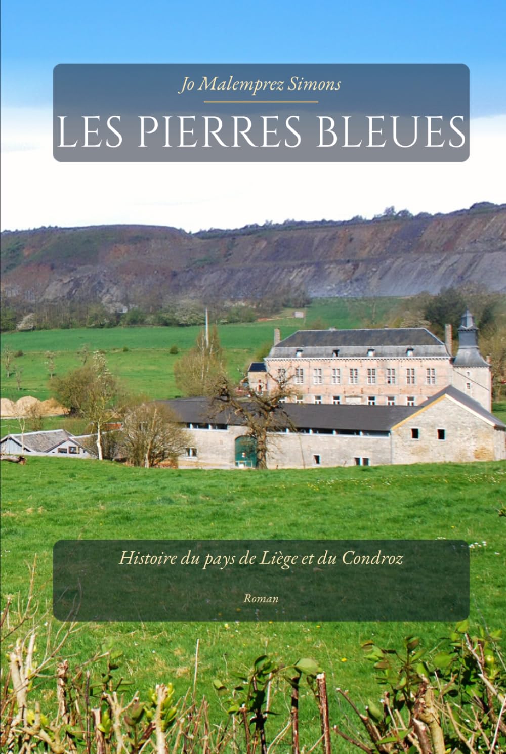 Les Pierres bleues: Histoire du pays de Liège et du Condroz