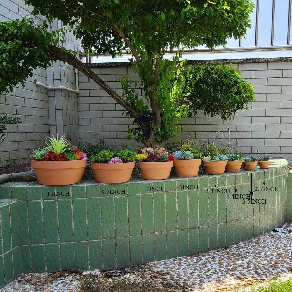 Yishang 5 Inch Shallow Terracotta Clay pots with Drain Hole,Ceramic Plant pots for Indoor/Outdoor Plants,Unglazed Bonsai Planter for Cacuts/Succulent Plants