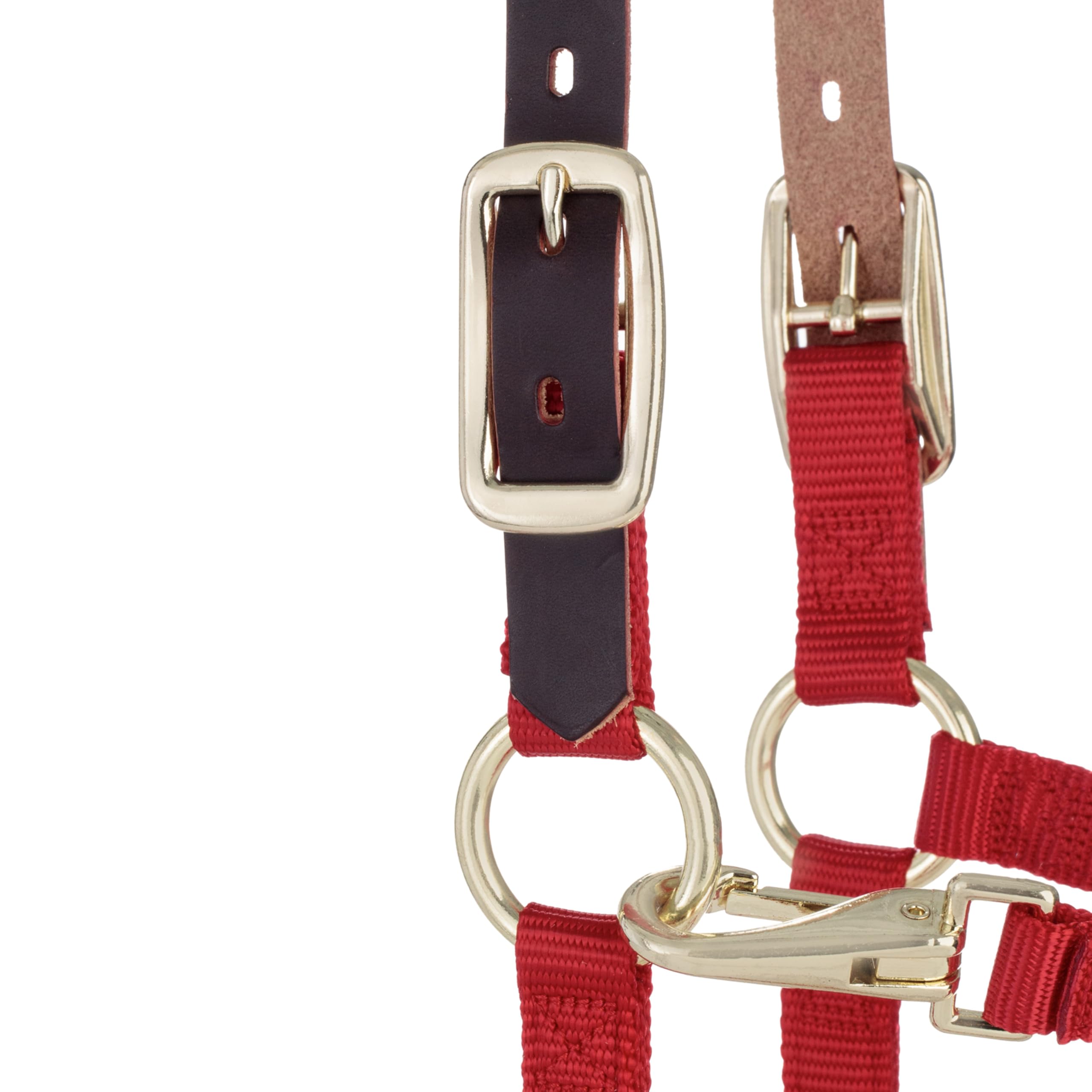 Weaver Leather Cavezza regolabile in nylon per cavalli
