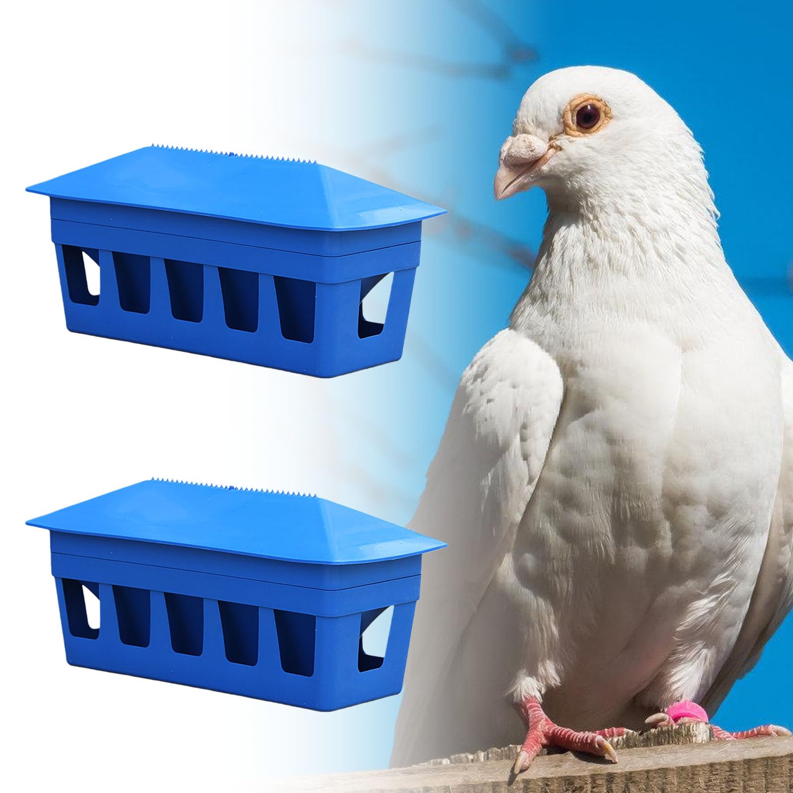 Automatischer Futterspender für Tauben mit 12 Futterlöchern und großer Kapazität von 3,2 kg für effiziente Vogelpflege