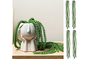 Your Magic Moment Lifelike Hanging Artificial Plant Donkey Tail Plants Set of 4